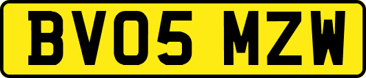 BV05MZW