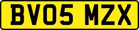 BV05MZX