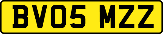 BV05MZZ
