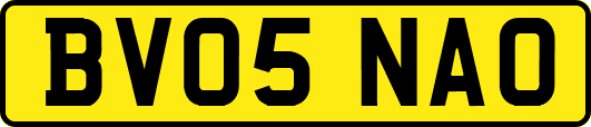 BV05NAO