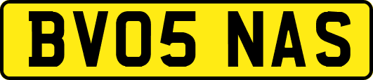 BV05NAS