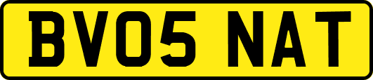 BV05NAT