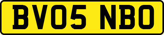 BV05NBO