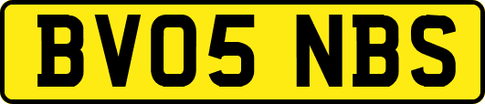 BV05NBS