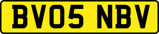 BV05NBV