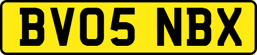 BV05NBX