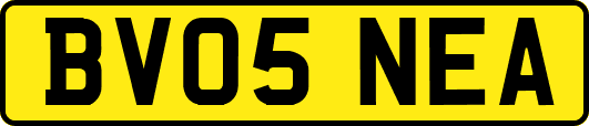 BV05NEA