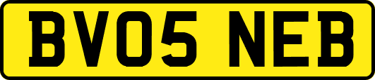 BV05NEB