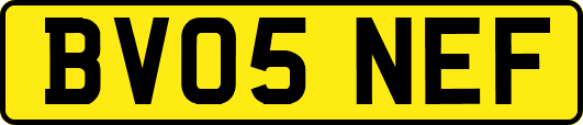 BV05NEF