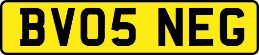 BV05NEG