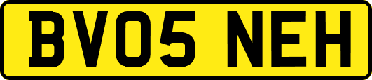 BV05NEH