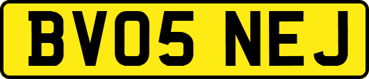 BV05NEJ