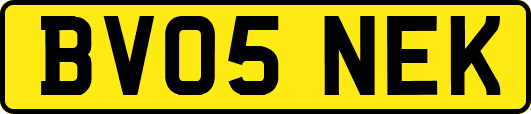 BV05NEK