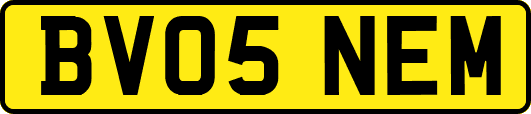 BV05NEM