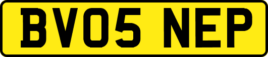 BV05NEP