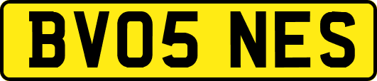 BV05NES