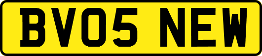 BV05NEW