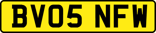 BV05NFW