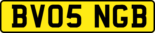 BV05NGB