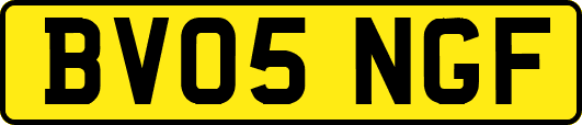 BV05NGF