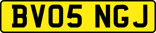 BV05NGJ