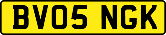 BV05NGK