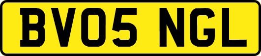 BV05NGL