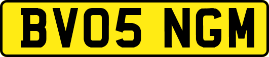 BV05NGM