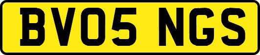 BV05NGS
