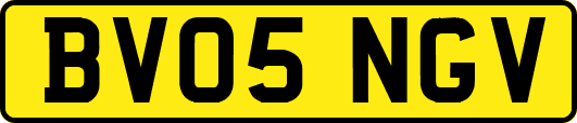 BV05NGV