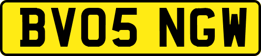 BV05NGW