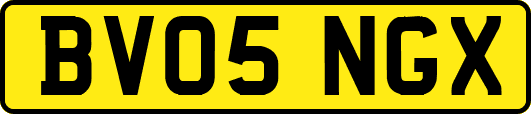BV05NGX