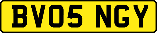 BV05NGY