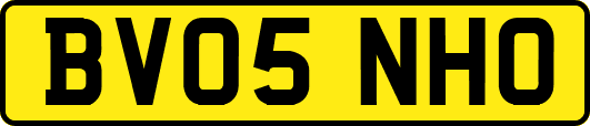 BV05NHO