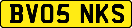 BV05NKS