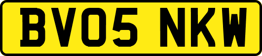 BV05NKW