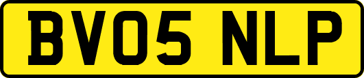 BV05NLP