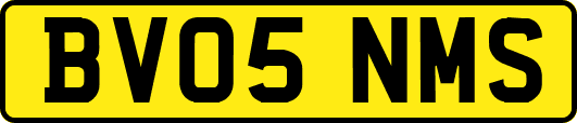 BV05NMS