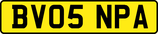 BV05NPA