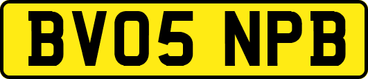 BV05NPB