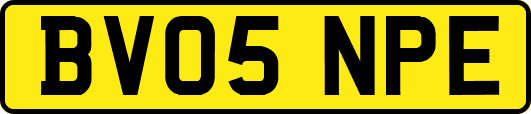 BV05NPE
