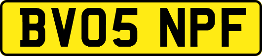 BV05NPF