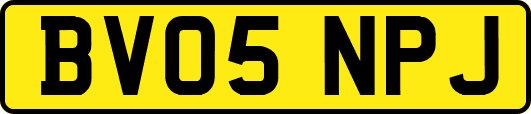 BV05NPJ