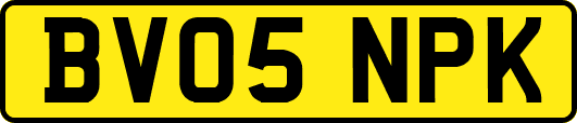 BV05NPK