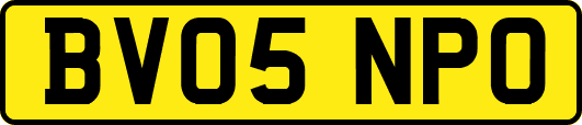BV05NPO