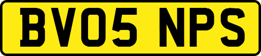 BV05NPS