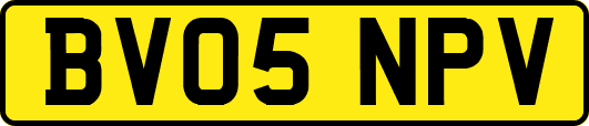 BV05NPV