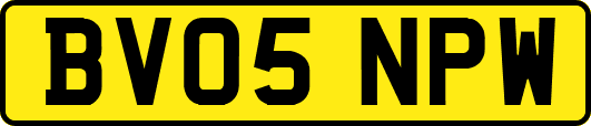 BV05NPW