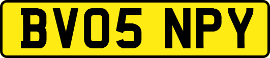 BV05NPY