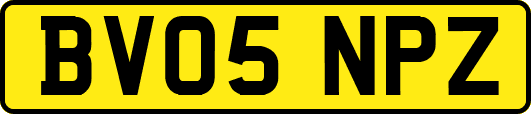 BV05NPZ